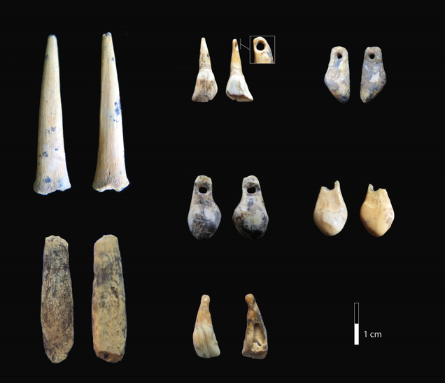 Bone points and pierced teeth sampled for radiocarbon dating.